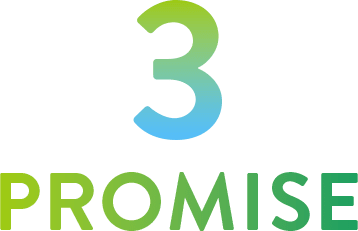 3 PROMISE
