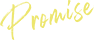 Promise